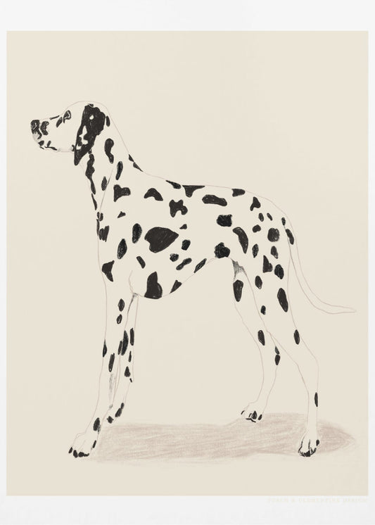 Pandc Dalmation | Poster