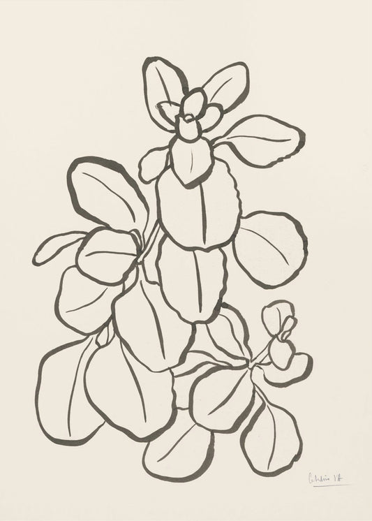 Kalanchoe Plant | Poster