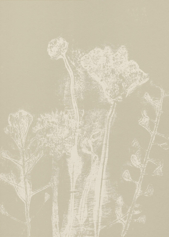 Abstract Florals. White meadow plants and flowers on neutral beige. | Canvas