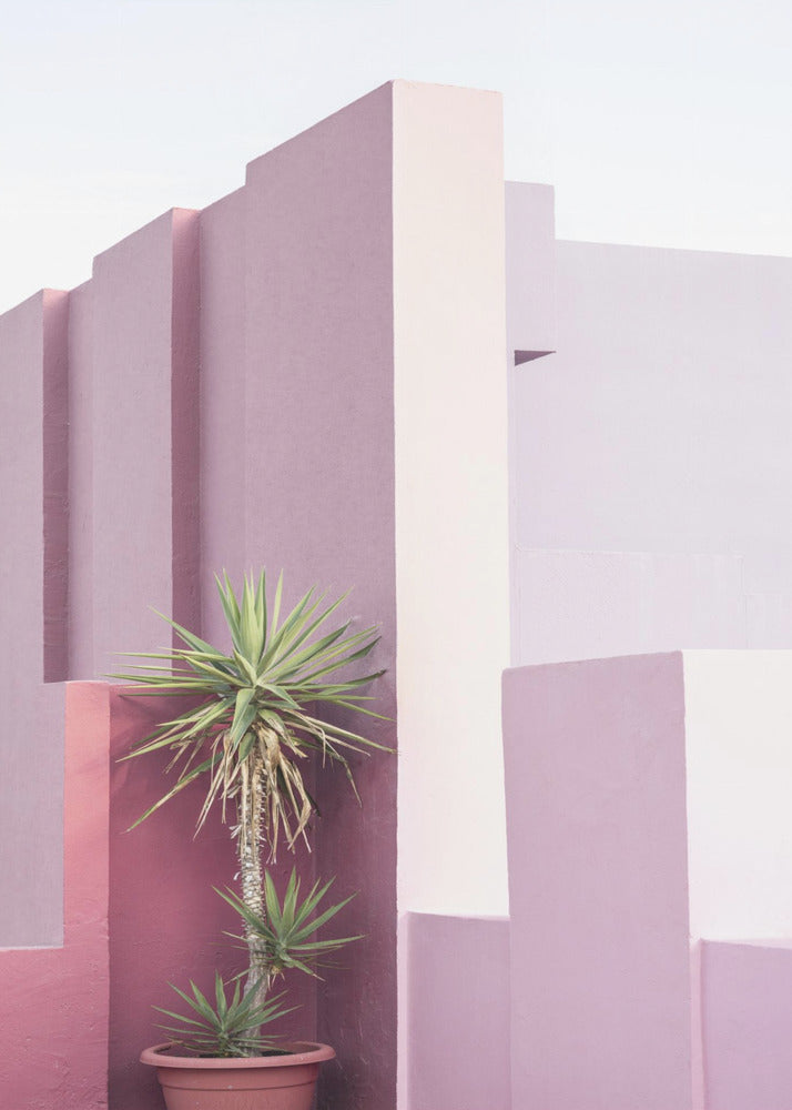 La Muralla Roja 4 | Canvas