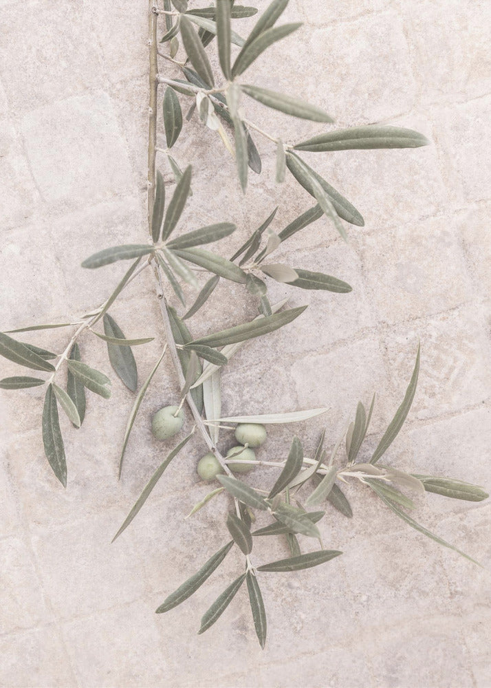 Spanish Tiles | Poster