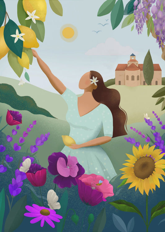 Summer in Provence | Poster