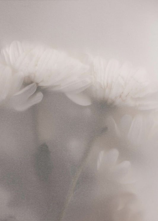 Blurred Flowers 2 | Poster
