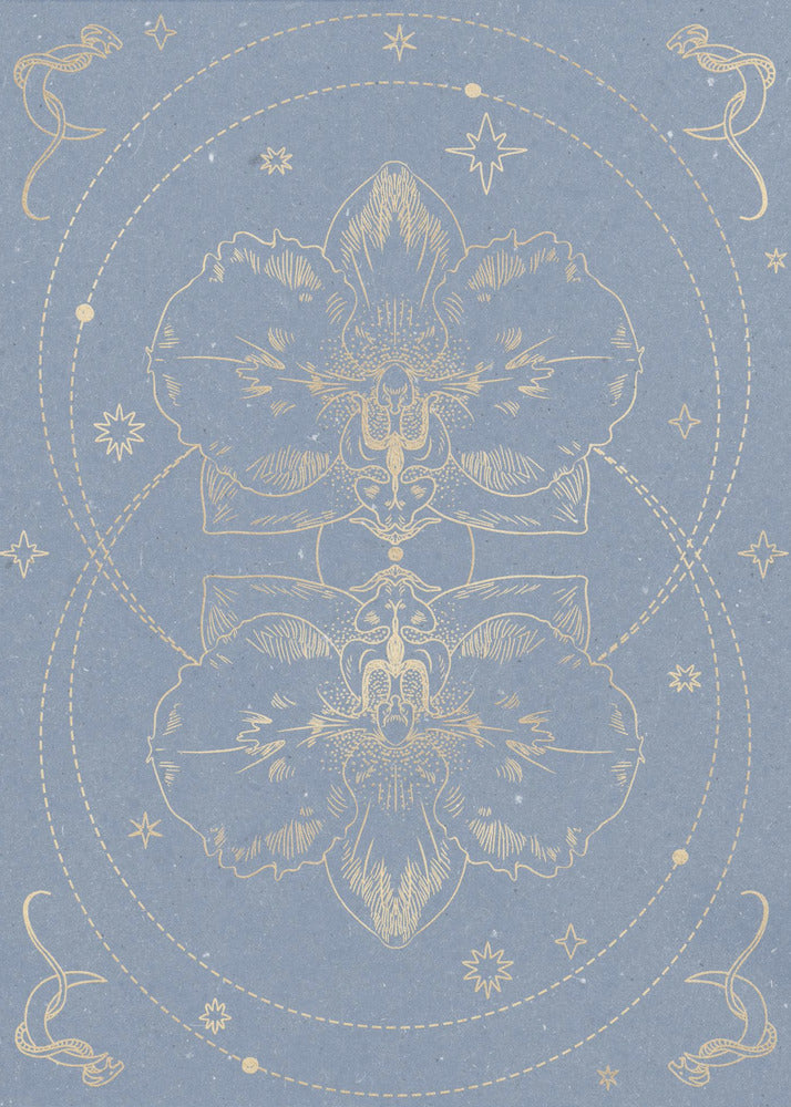 The mystical orchid | Canvas