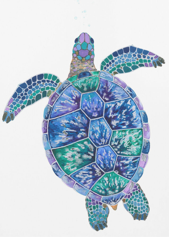 Turtle's Dreamscape | Canvas