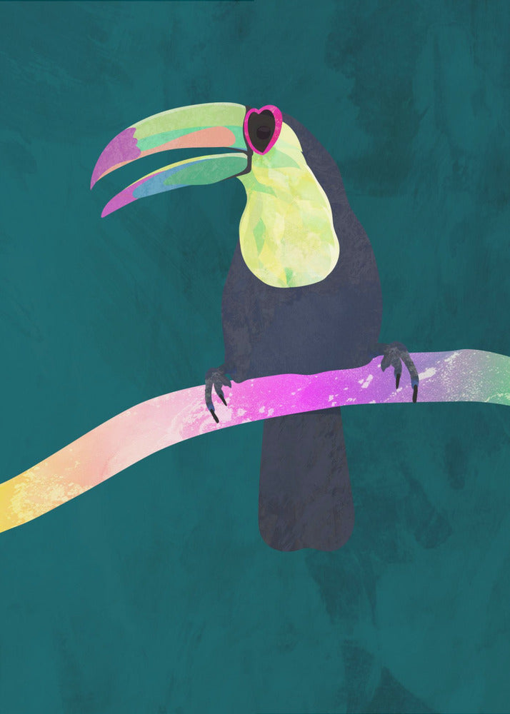 Rainbow toucan | Poster