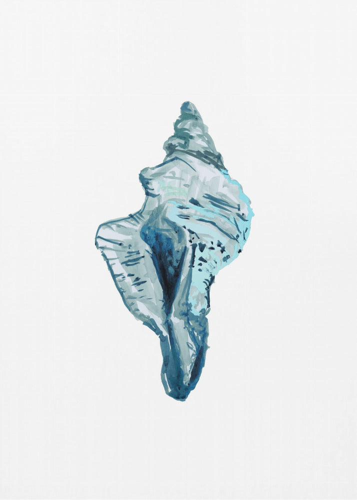 Blue Seashell On White Background No4 | Canvas