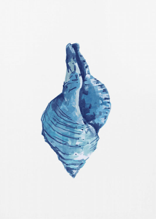 Blue Seashell On White Background No3 | Poster