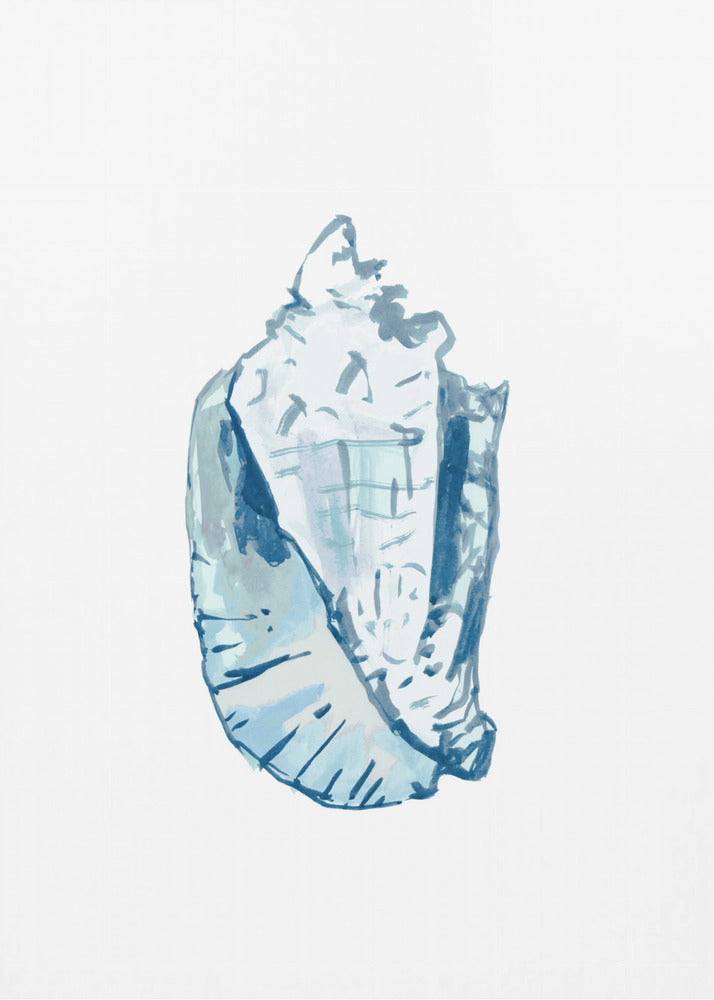 Blue Seashell On White Background No6 | Poster