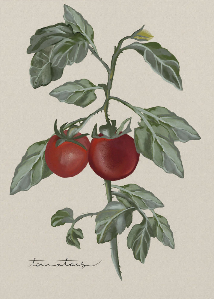 Vintage Garden | Canvas