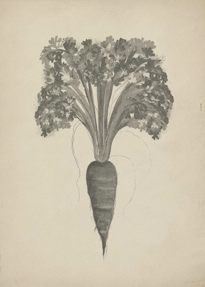 Project (20241106122935) | Canvas