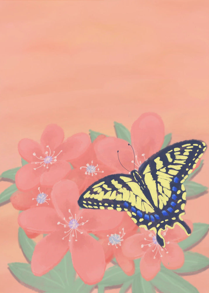 Tiger Swalowtail Butterfly | Canvas