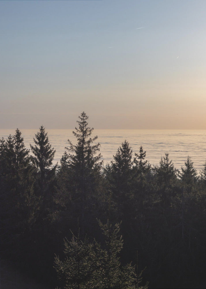 Golden Hour 4 | Canvas