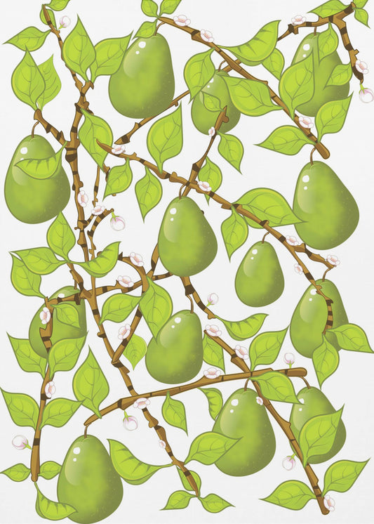 Pear Blossom Tangle | Canvas