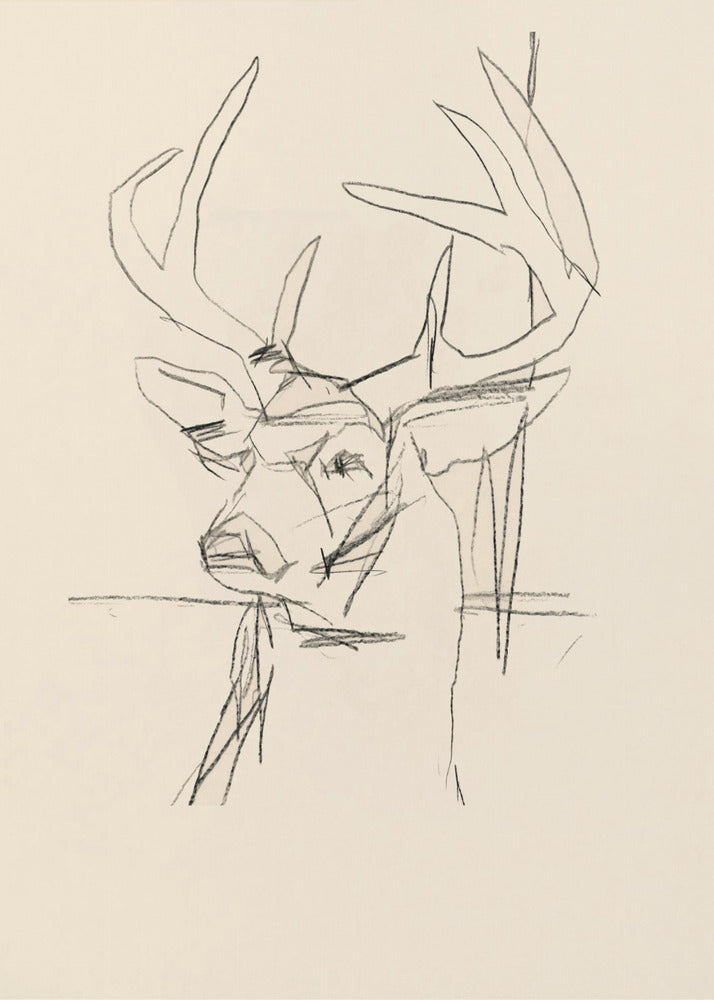 Étude Cerf (stag) No.1 | Canvas