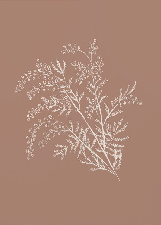 Acacia Botanical Branch | Poster