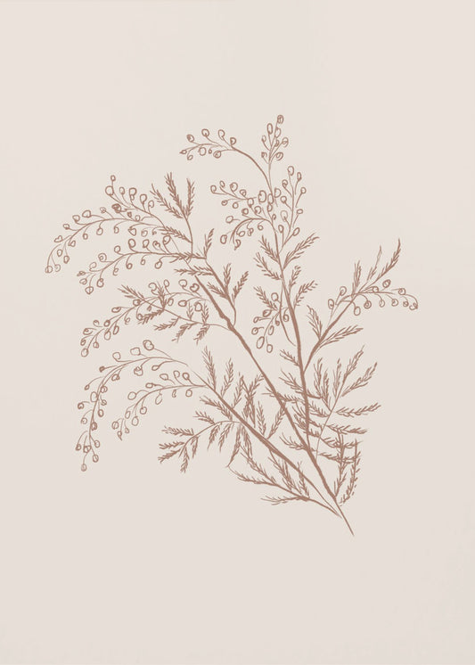 Acacia Botanical Branch | Poster