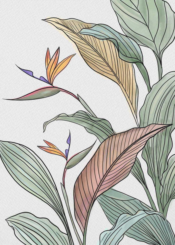 Brids of Paradise | Canvas