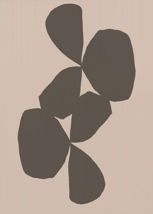 Petals in Contrast | Poster