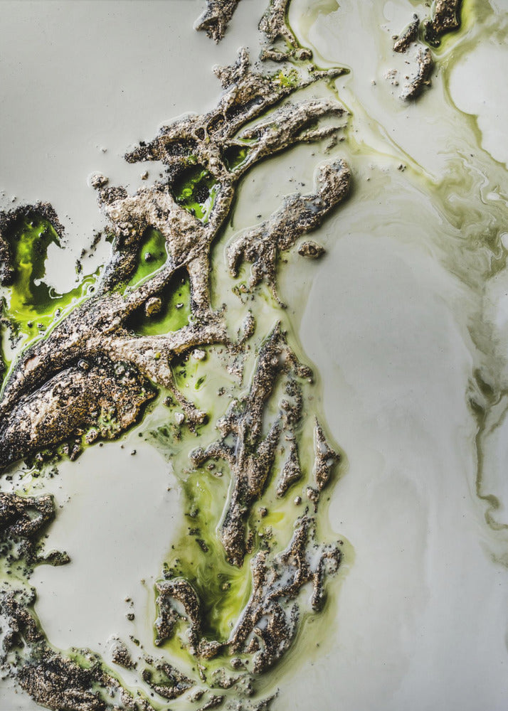 Contemporary Art - Olive Enigma - Green accent | Canvas