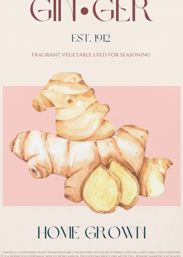 Watercolor illustration Of Ginger | Canvas