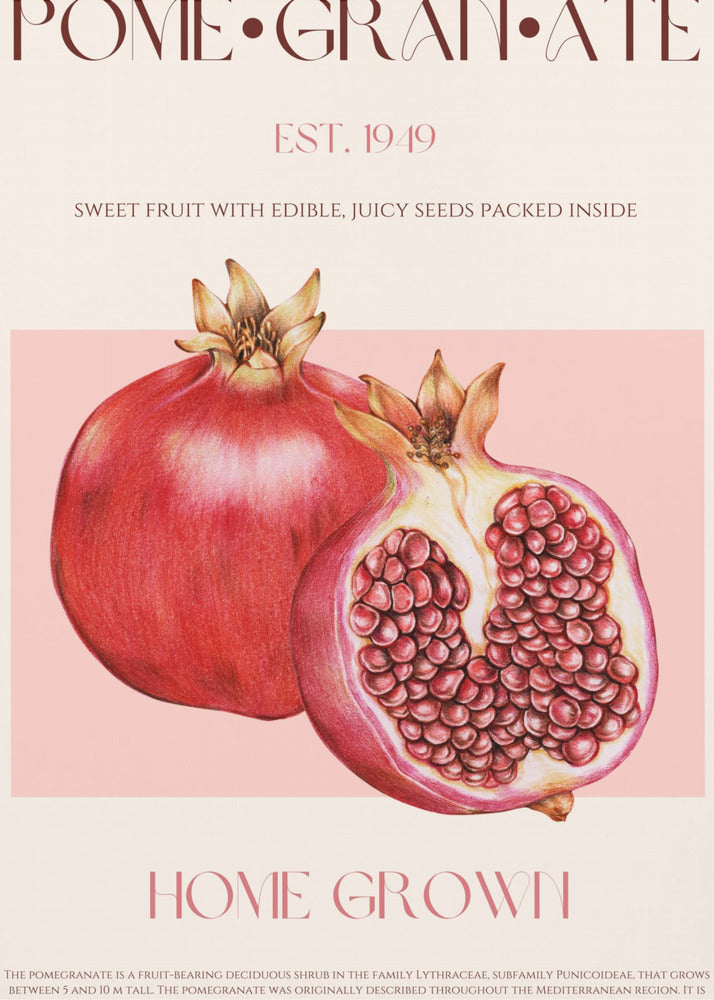 Juicy Pomegranate | Canvas