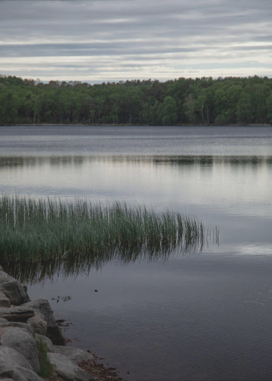 Somewhere In Sweden 2 | Poster