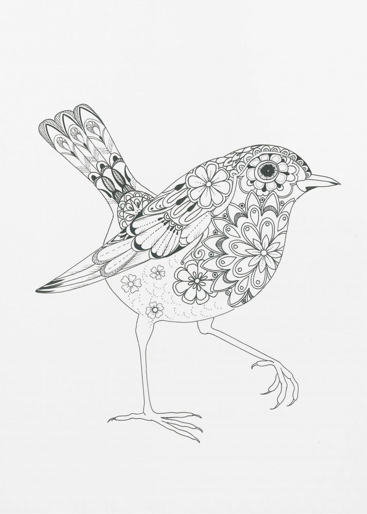 Flowered Bird Robin | Canvas