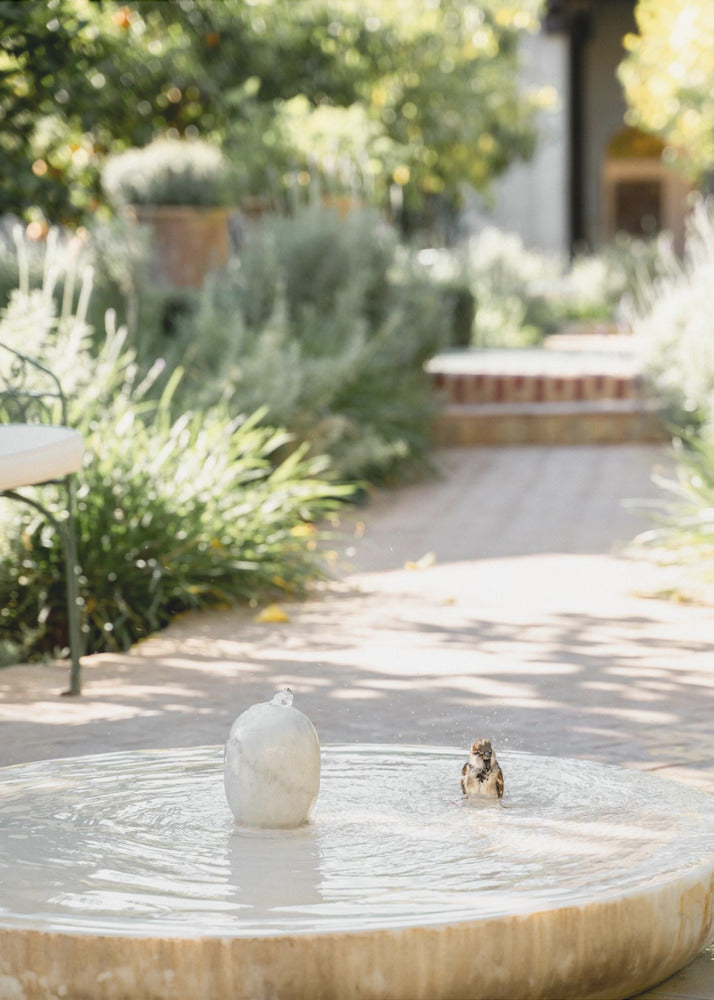 Feathers and Droplets | Poster