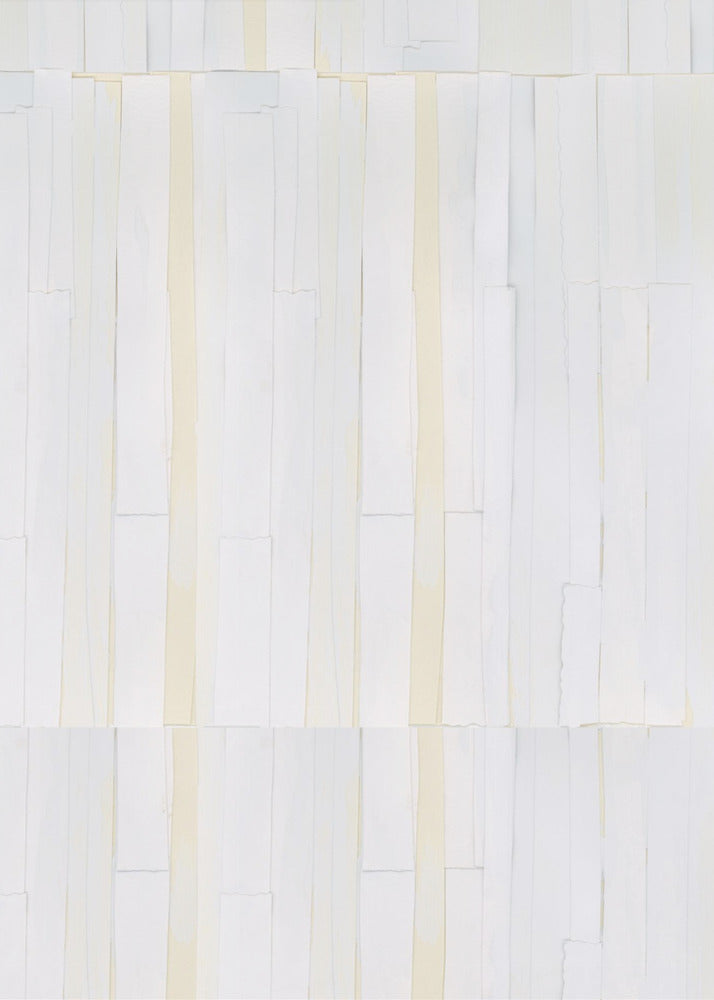 Tactile White On White 2 | Canvas