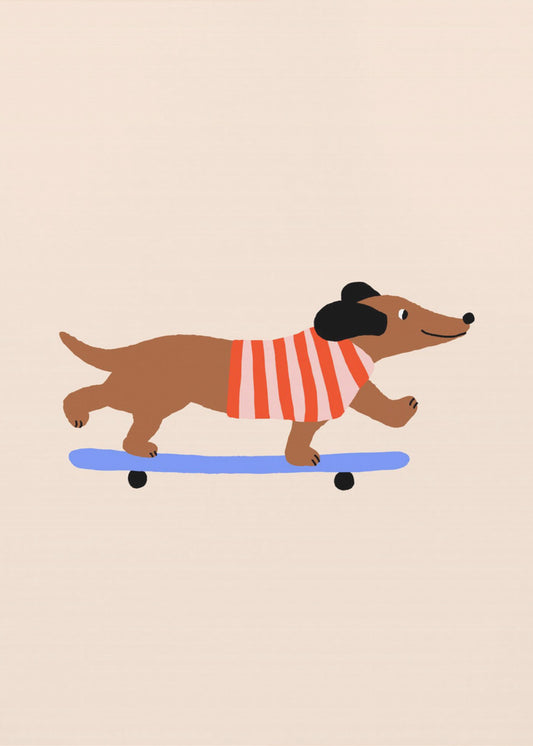 Dachshund on Skateboard | Canvas