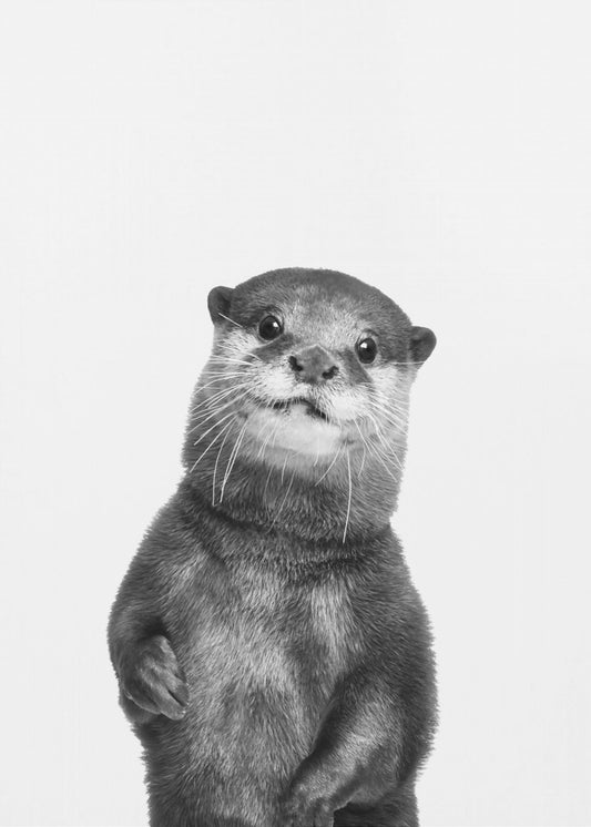 Otter | Canvas