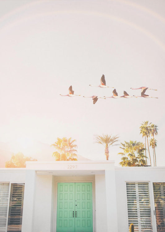 Flamingos In Palm Springs | Canvas