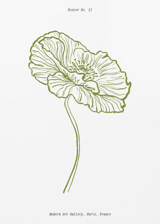 Pale Poppy Sketch | Canvas