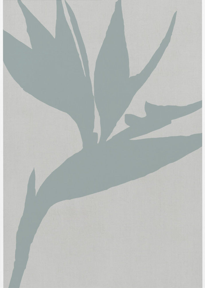 Bird of Paradise | Canvas