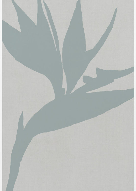 Bird of Paradise | Canvas