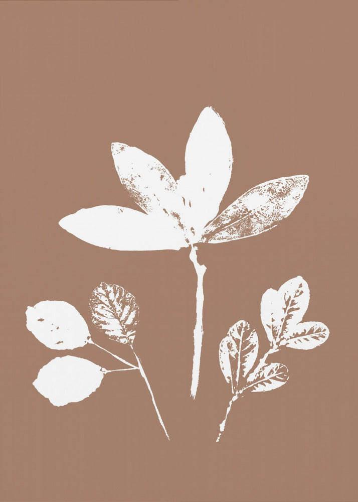 Leaves in Contrast | Canvas