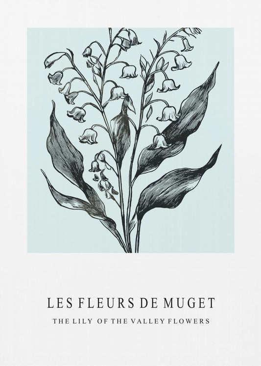 Lily of the Valley Flowers In A Monochrome Illustration | Canvas