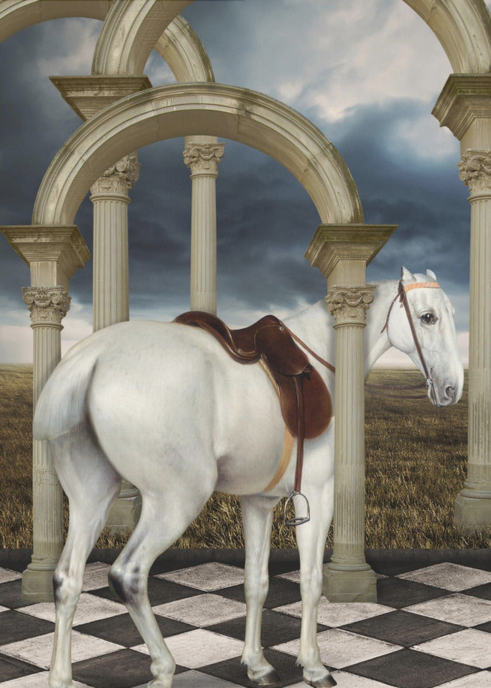 A Lady's Grey Hunter | Canvas