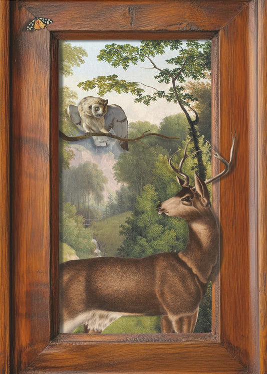 Tales of Owls and Deer | Canvas
