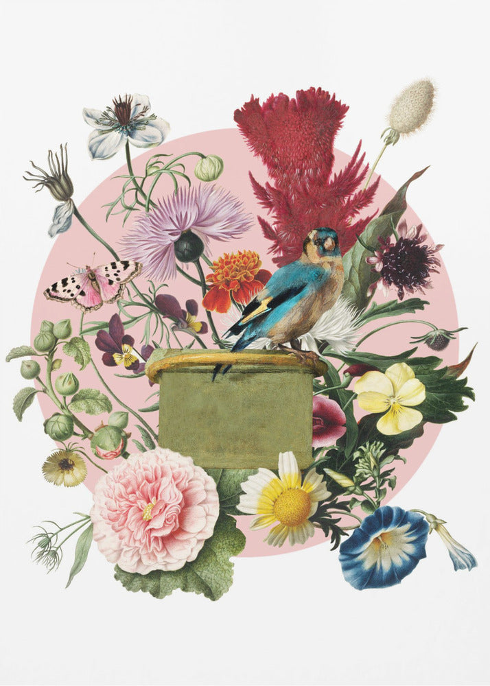 Colorful Bird Perched On A Box | Canvas