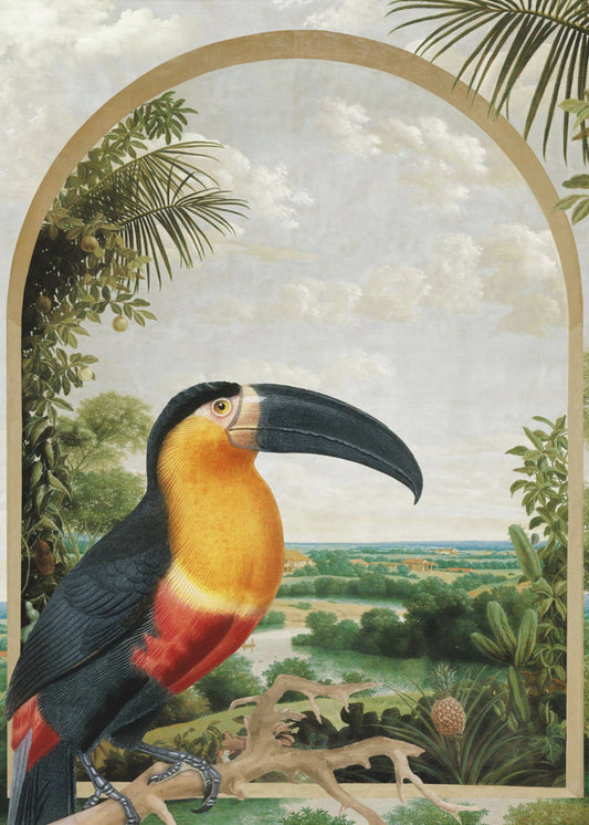 Toucan Perched on a Branch | Poster