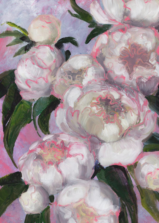White Peonies With Pink Highlights | Canvas