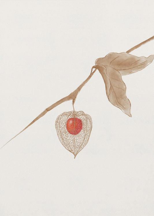 Groundcherry | Poster