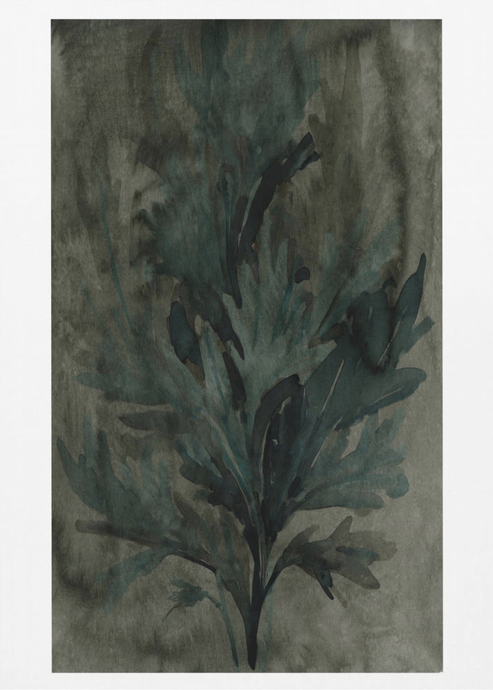 Deepwater Bloom 2 | Canvas