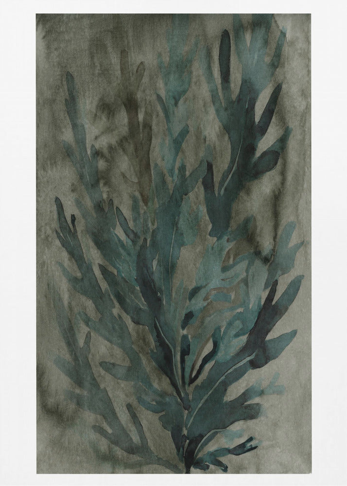 Deepwater Bloom 1 | Canvas