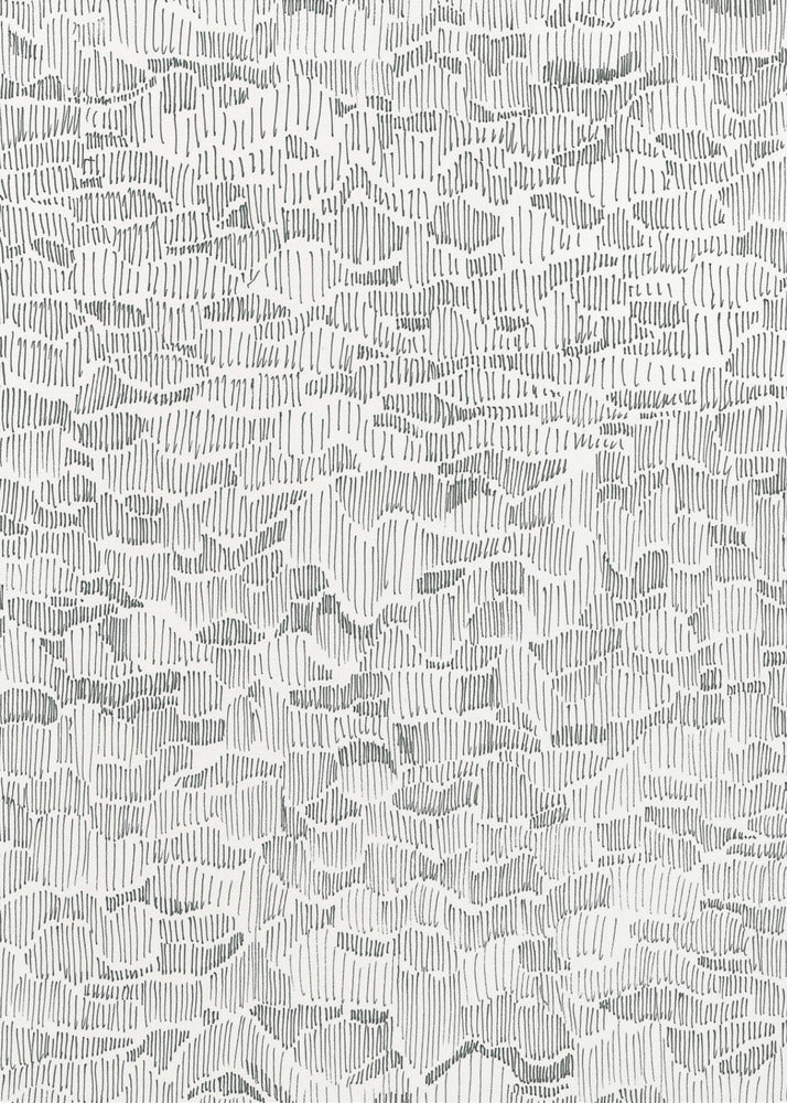 Reflections on Water Doodle | Poster