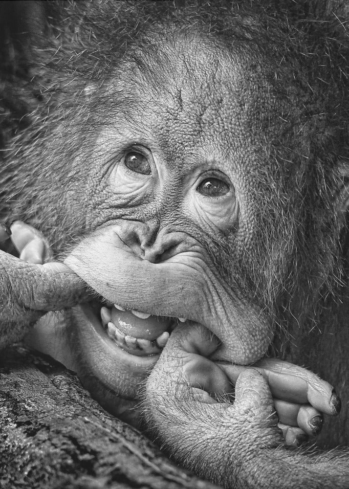 Big Smile.....please | Canvas