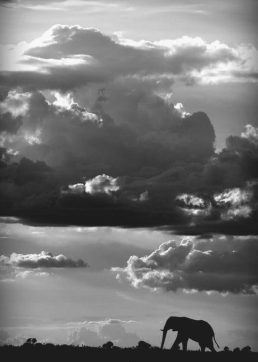 He walks under an African Sky | Canvas