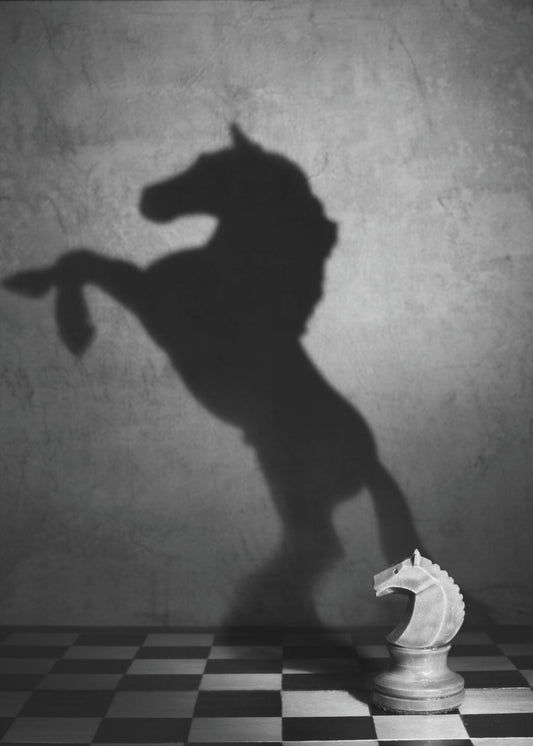 The soul of a mustang | Canvas